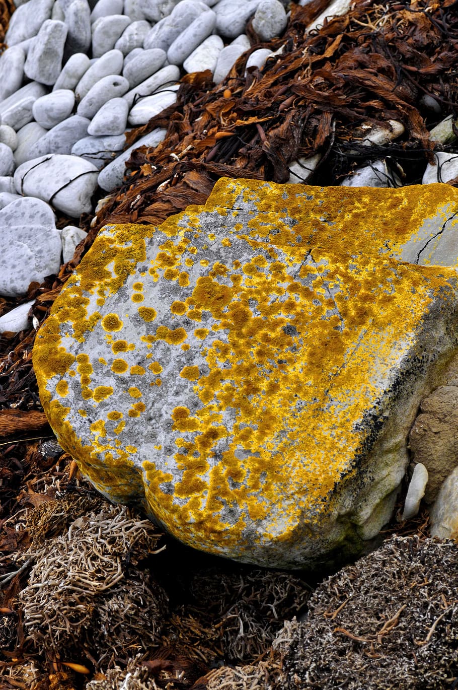 nature, food, background, pattern, texture, close up, stone HD wallpaper