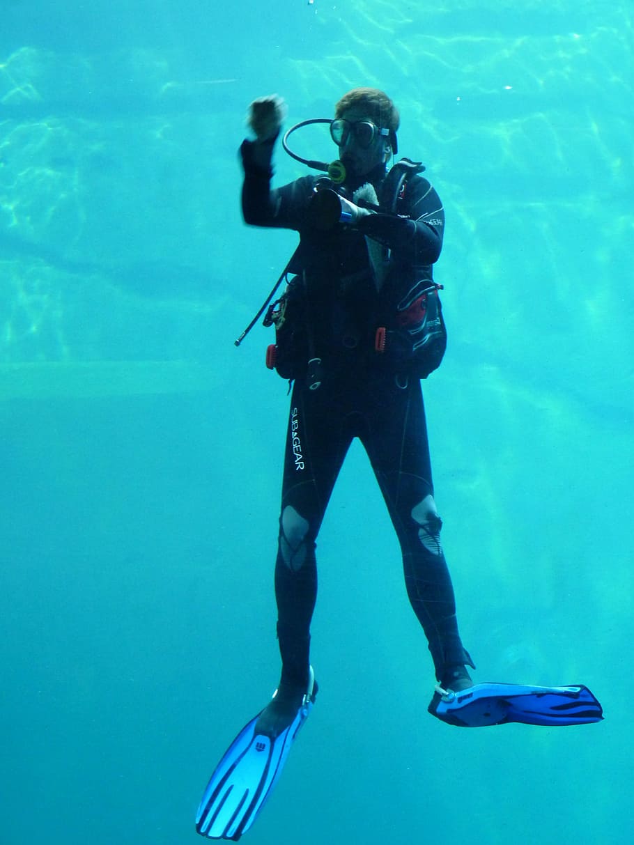 divers, diving suit, fins, underwater, sea, undersea, scuba diving, HD wallpaper