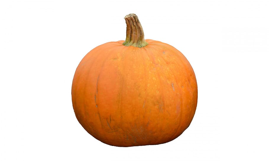 photo of orange pumpkin, fall, plant, decoration, fruit, juicy HD wallpaper
