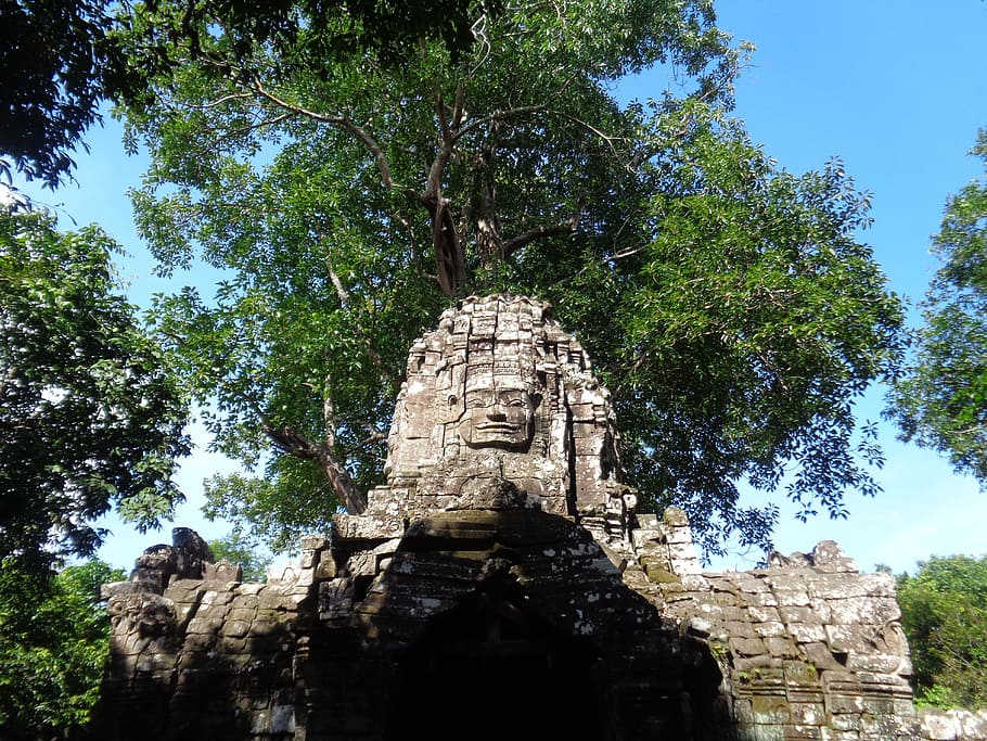 cambodia, ruins, trees, temples, nature, old, history, architecture HD wallpaper