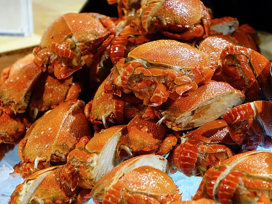crabs, seafood, cold, ice, shell, claw, restaurant, food and drink HD wallpaper