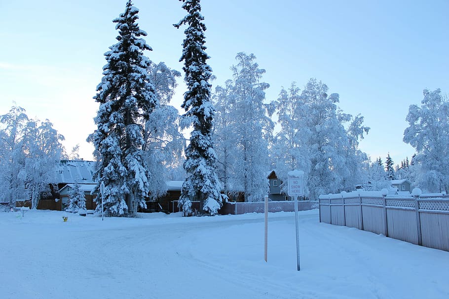 snow, white, cold, winter, street, sign, frost, ice, cold temperature HD wallpaper
