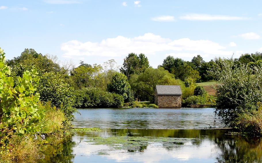 landscape, pond, rural, water, tree, plant, lake, sky, reflection HD wallpaper
