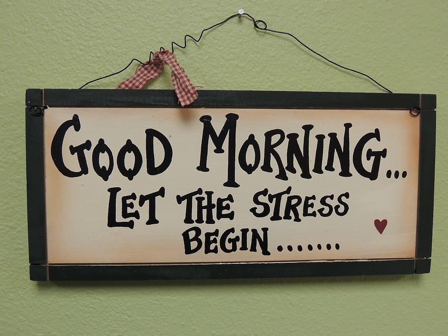 Good Morning Let The Stress Begin decor, quotes, back to school, HD wallpaper