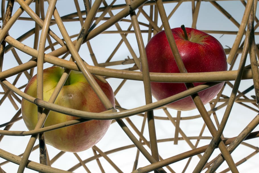 apple, ripe, wicker, deco, fruit, apple - Fruit, food, freshness HD wallpaper