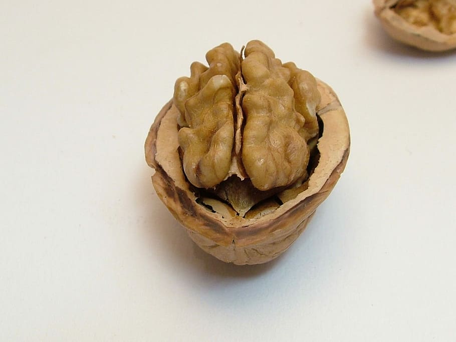 oval brown nut on white surface, Walnut, Eat, Brain, half nut HD wallpaper