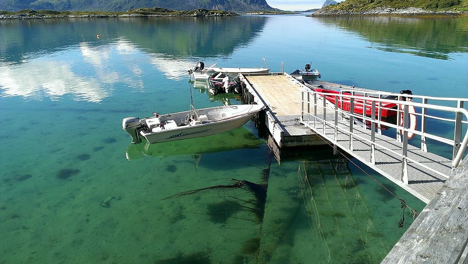 Norway, Lofoten, Boot, Fish, Water, scandinavia, fjord, holiday HD wallpaper