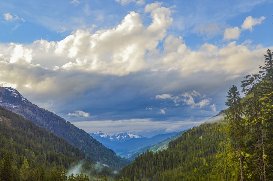 landscape, forest, clouds, may, green, blue, white, trees, sky HD wallpaper