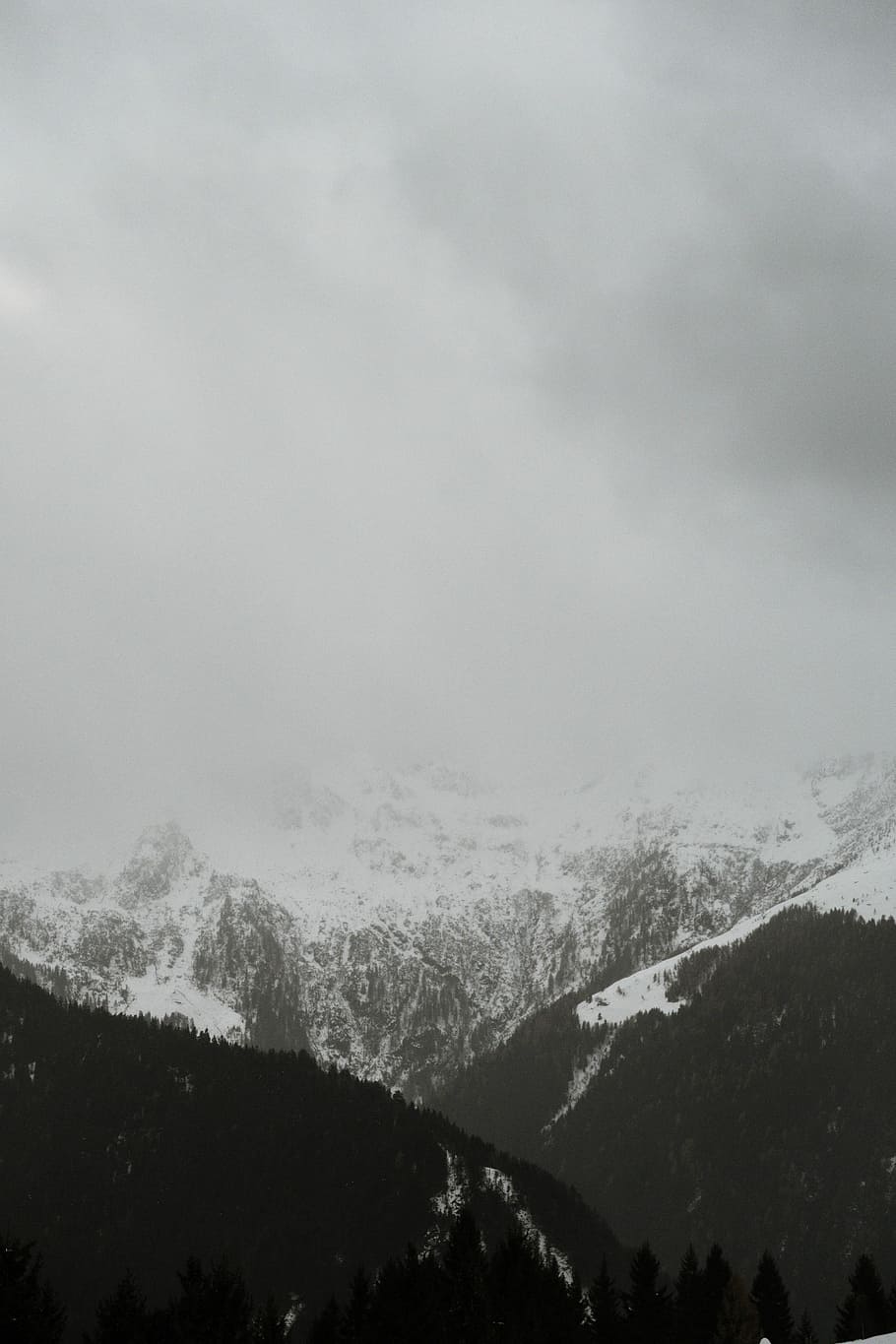 silhouette of trees near mountain, mountain covered with snow HD wallpaper