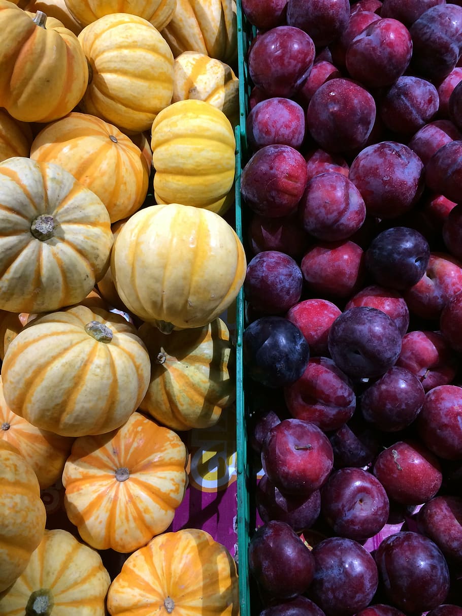 fruit, vegetable, pumpkin, plum, food, autumn, freshness, organic HD wallpaper