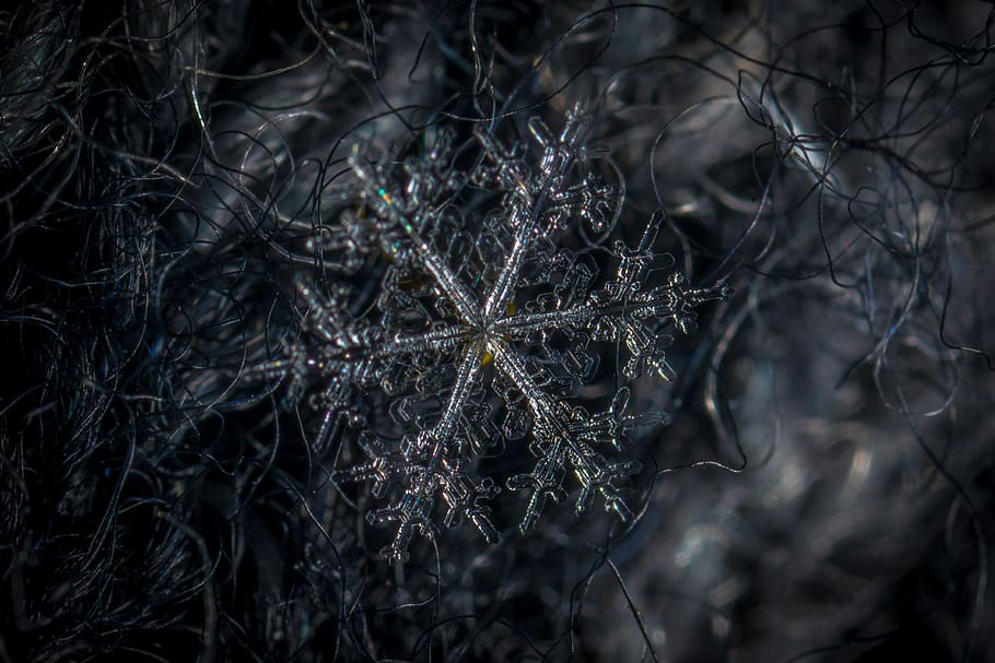 snowflake, macro, wool, close-up, no people, nature, plant HD wallpaper