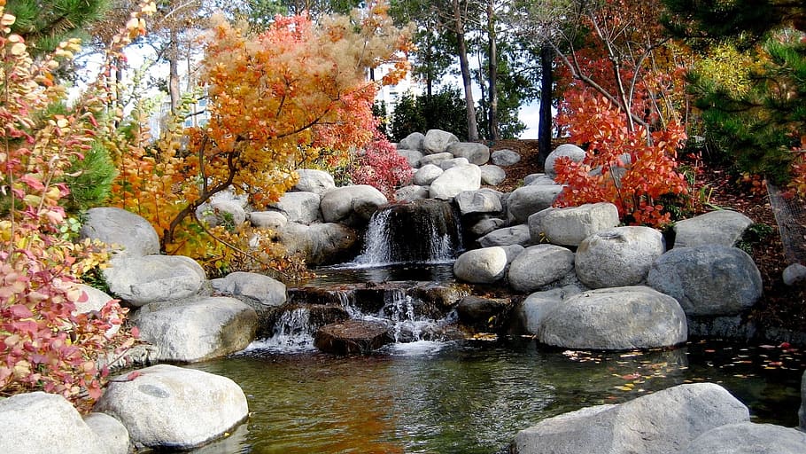 photo of gray rocks and creek, waterfall, leaf, autumn, trees HD wallpaper