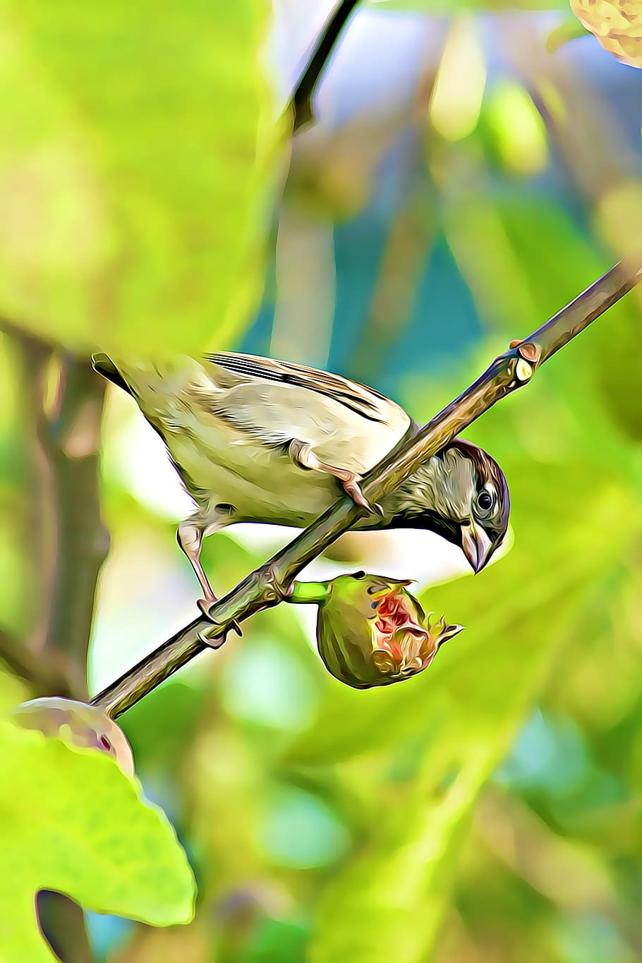 digital, graphics, sparrow, eat, birds, crop, berry, branch HD wallpaper