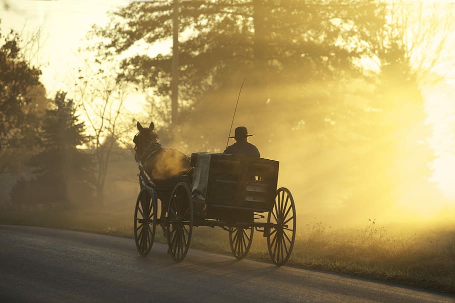 HD wallpaper: Stage Coach, people on carriage painting, passengers, horses  | Wallpaper Flare