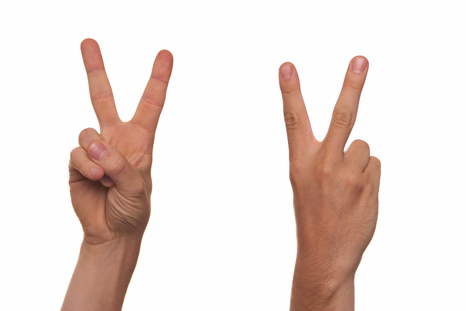 person's hand showing peace sign, gesture, sign language, finger