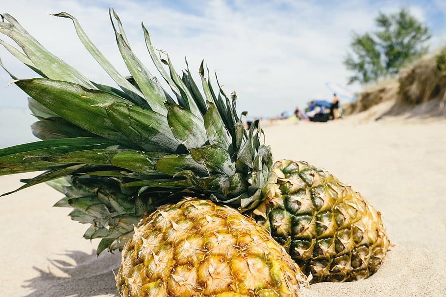 two pineapple on the sands during daytime, beach, summertime HD wallpaper