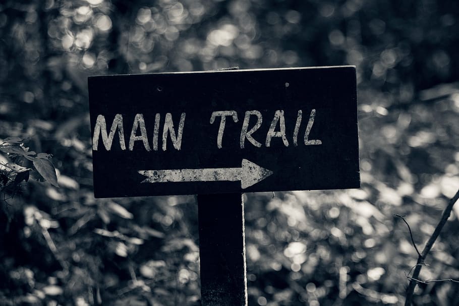 path, trail, forest, road, communication, sign, text, guidance HD wallpaper