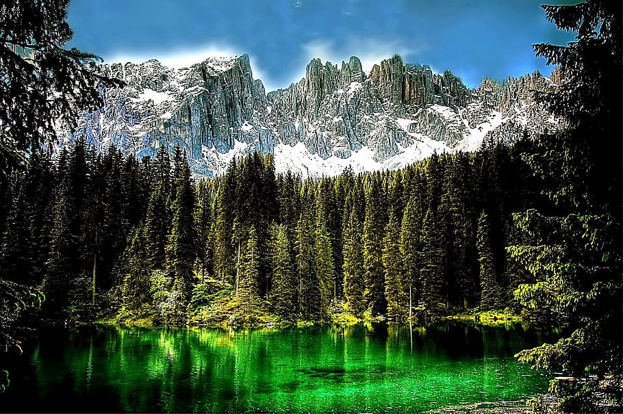 landscape photography of pine trees with body of water, dolomites, HD wallpaper