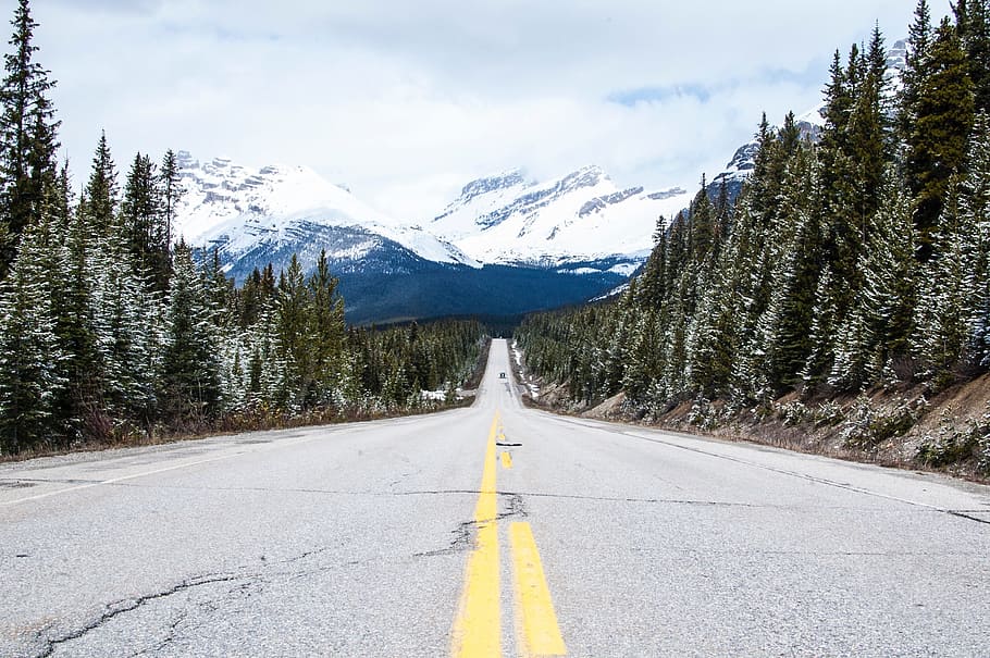 road, path, mountain, view, snow, winter, landscape, nature HD wallpaper