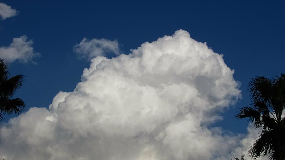 clouds, cumulus, sky, white, blue, bright, cloudscape, atmosphere HD wallpaper