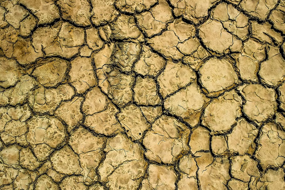 drought, aridity, aridness, dry, crack, texture, surface, ground HD wallpaper