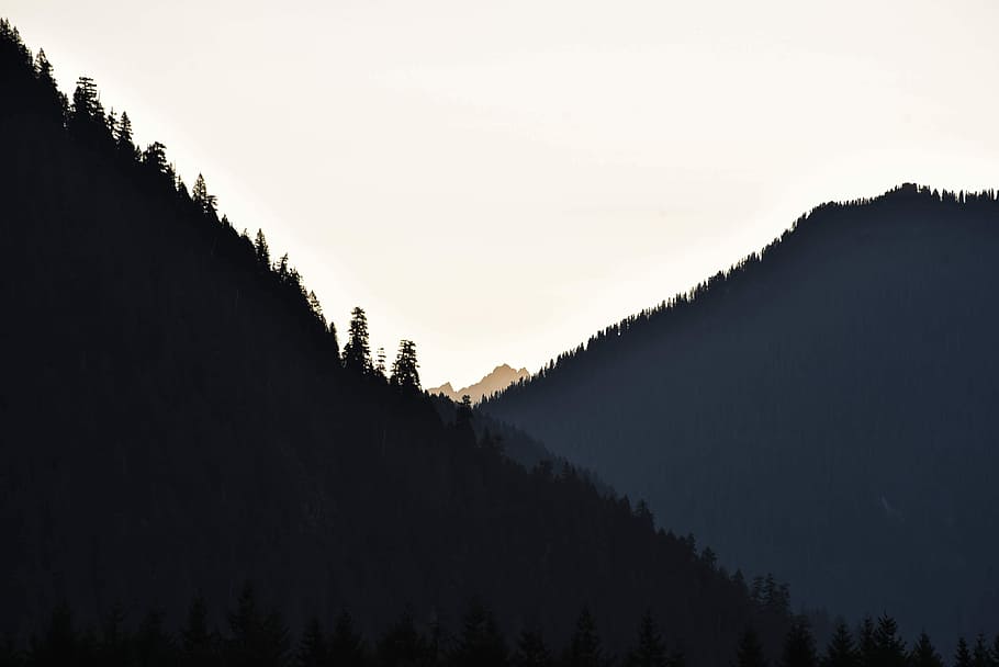 The layers, silhouette photo of mountains, tree, dark, nature HD wallpaper