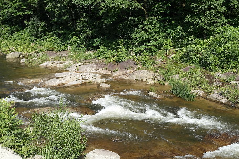 nature, valley, the river, plant, tree, water, beauty in nature HD wallpaper