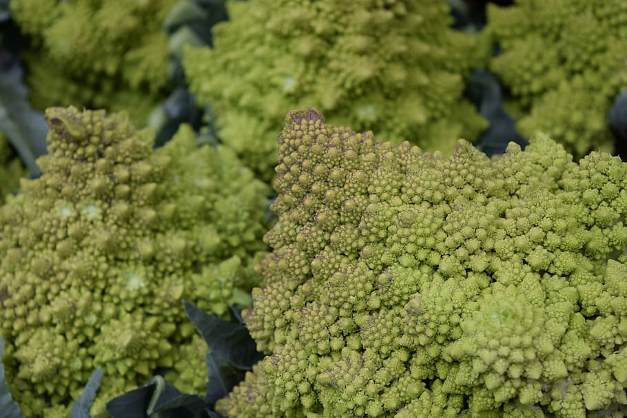 Vegetables, Veggies, Cauliflower, green, fractal, fractals HD wallpaper