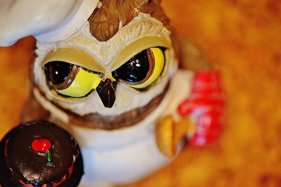 owl, bake, baker, cupcake, cute, funny, sweet, baked, pastry art HD wallpaper