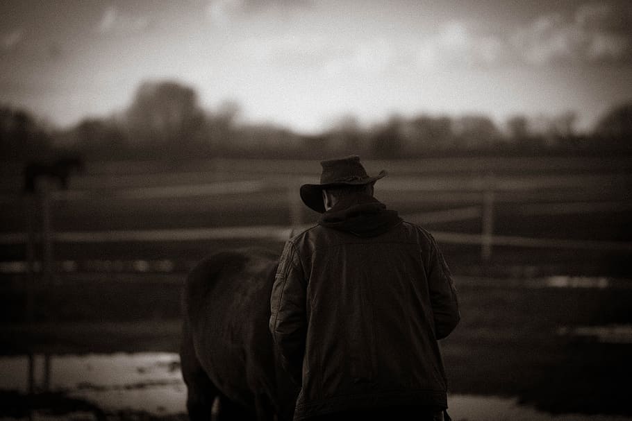 HD wallpaper: Western, Animal, Human, Cowboy, black and white, rear