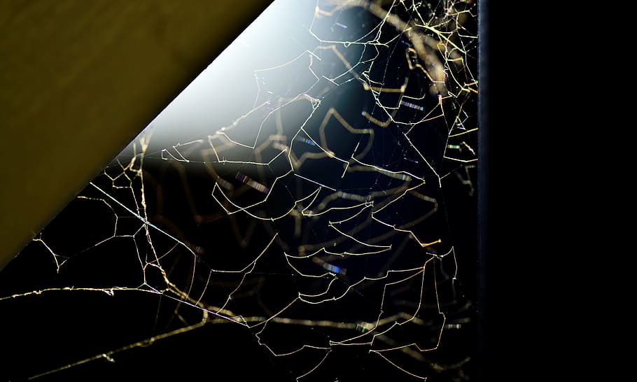 a spider's web, light, corner, no people, spider web, complexity HD wallpaper