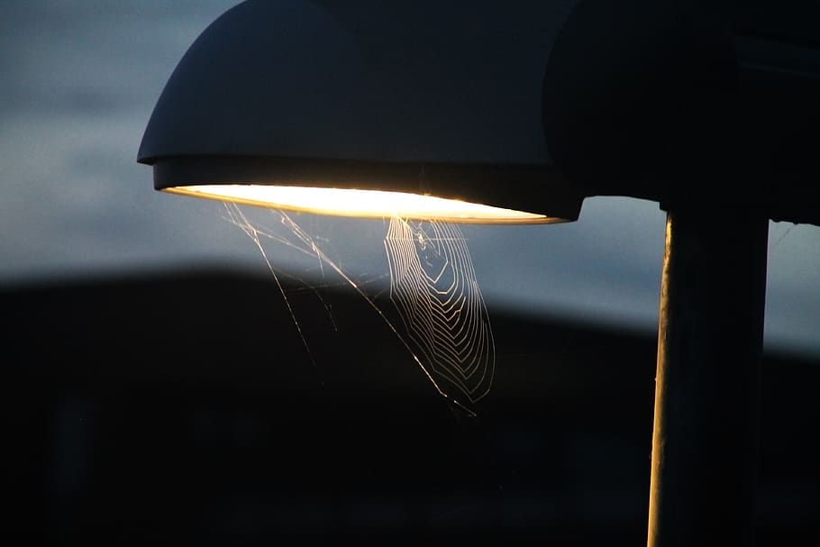 lamp, cobweb, light, lantern, dark, close up, cobwebs, spotlight HD wallpaper