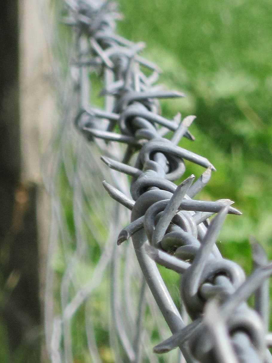 Fence, Wire, barbed, metal, protection, outdoors, barbed wire HD wallpaper