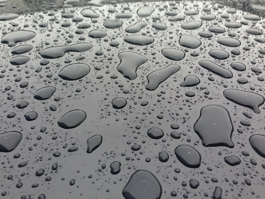 drops, rain, water, wet, full frame, backgrounds, no people HD wallpaper