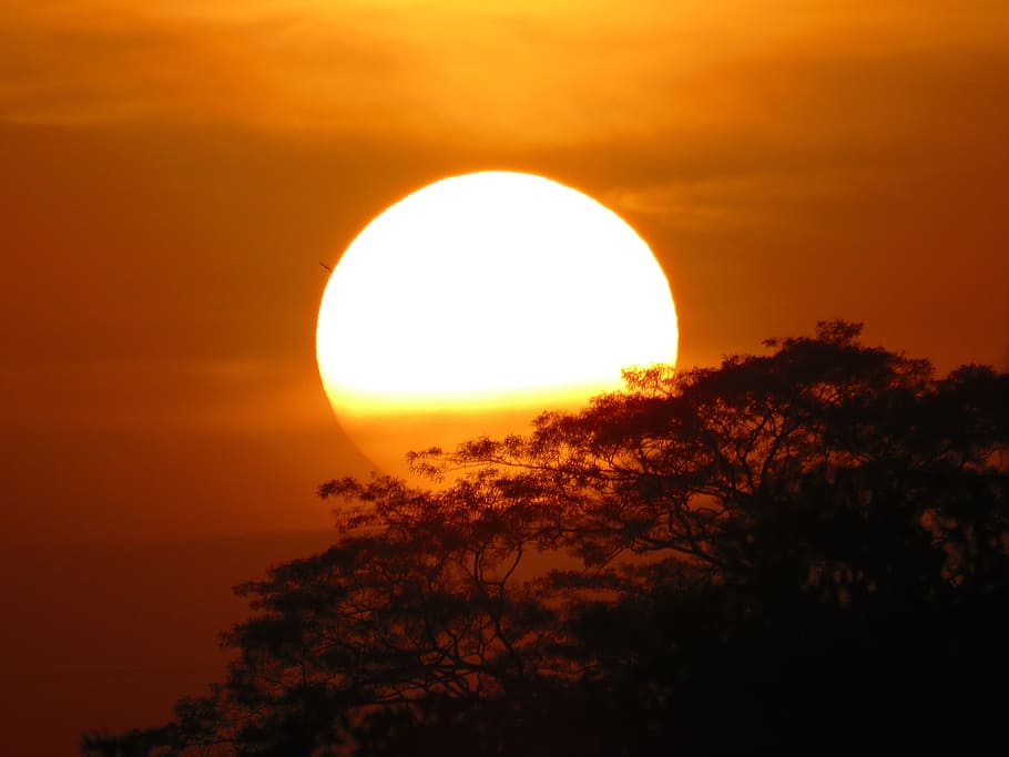 Sunset, Backlight, Nature, natural landscape, shadow, contrast HD wallpaper