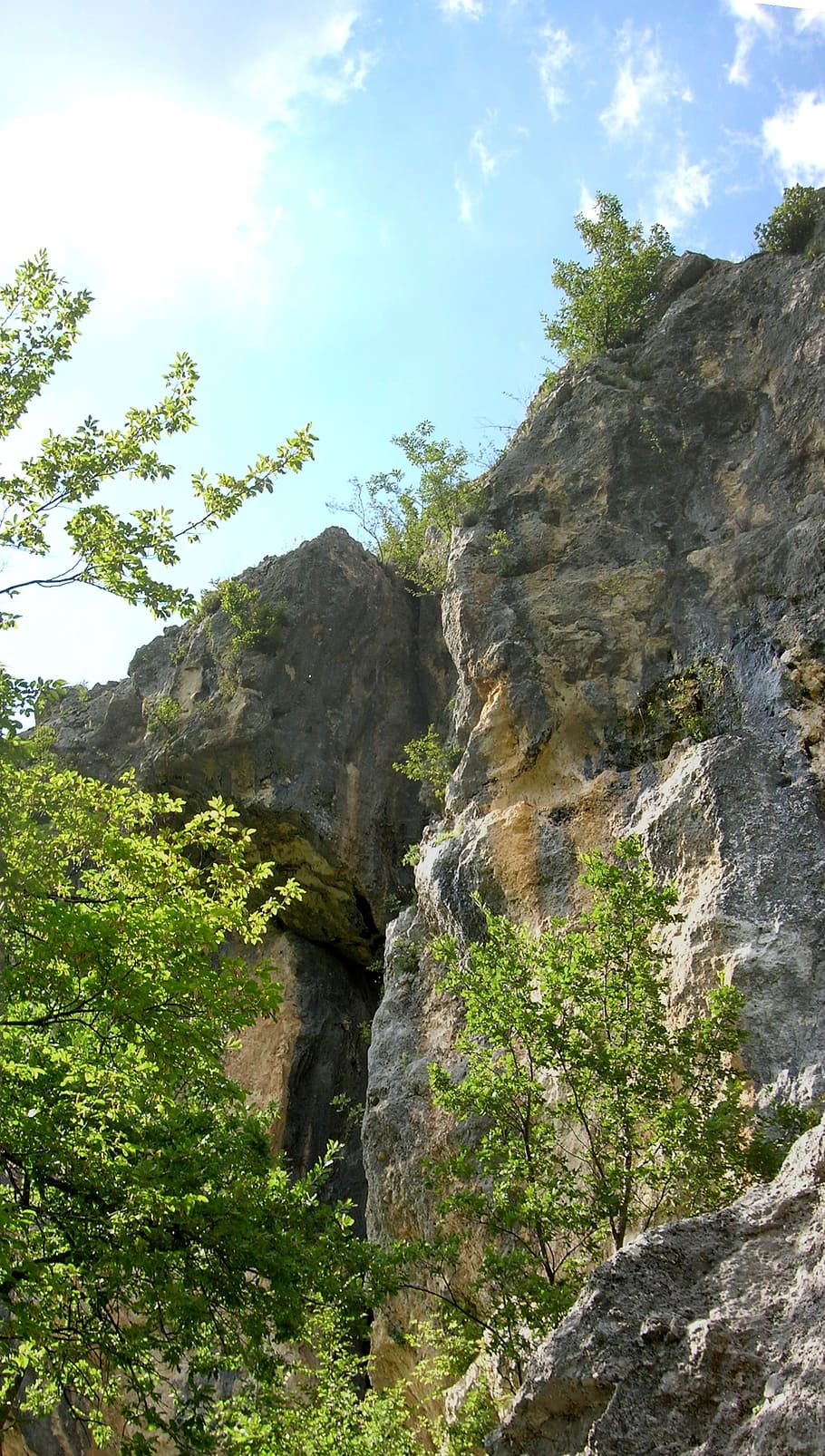 rock, trees, italy, plant, sky, low angle view, beauty in nature HD wallpaper