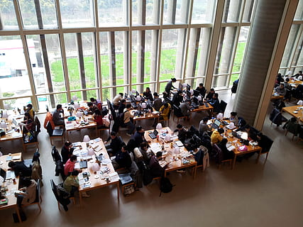 library, shanghai, pudong, group of people, window, large group of people HD wallpaper