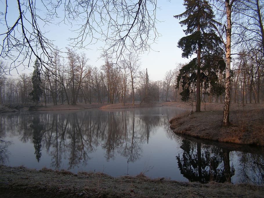 Pond, Park, Nature, Trees, Forest, Woods, water, reflection HD wallpaper