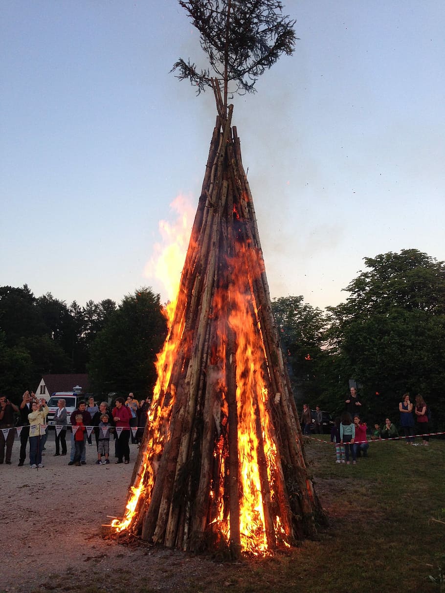 Fire, Solstice, Burn, Flame, Sun, midsummer, evolutionary, tree HD wallpaper