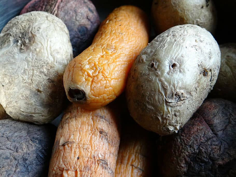 potatoes, carrot, beet, boiled, vinaigrette, vegetables, food HD wallpaper