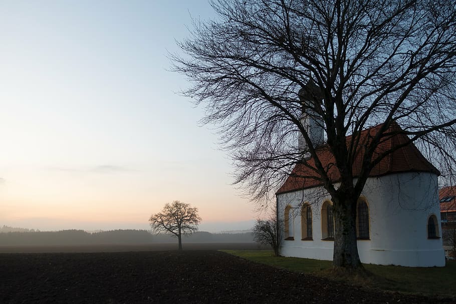 white concrete church beside tree, chapel, arable, abendstimmung HD wallpaper