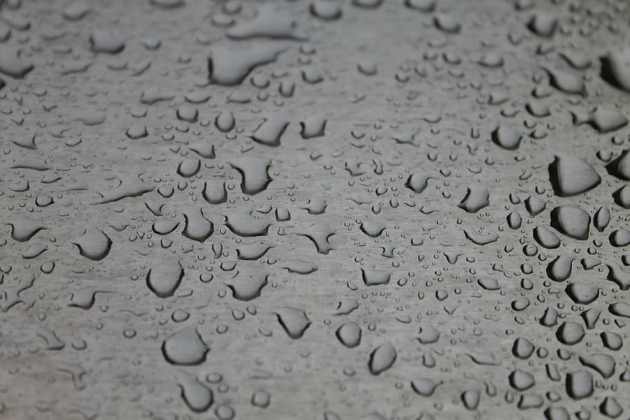 rain, drops, water, nature, liquid, wet, rain drops, water drops HD wallpaper
