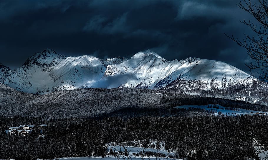 snow covered mountain taken at daytime, untitled, tree, forest HD wallpaper