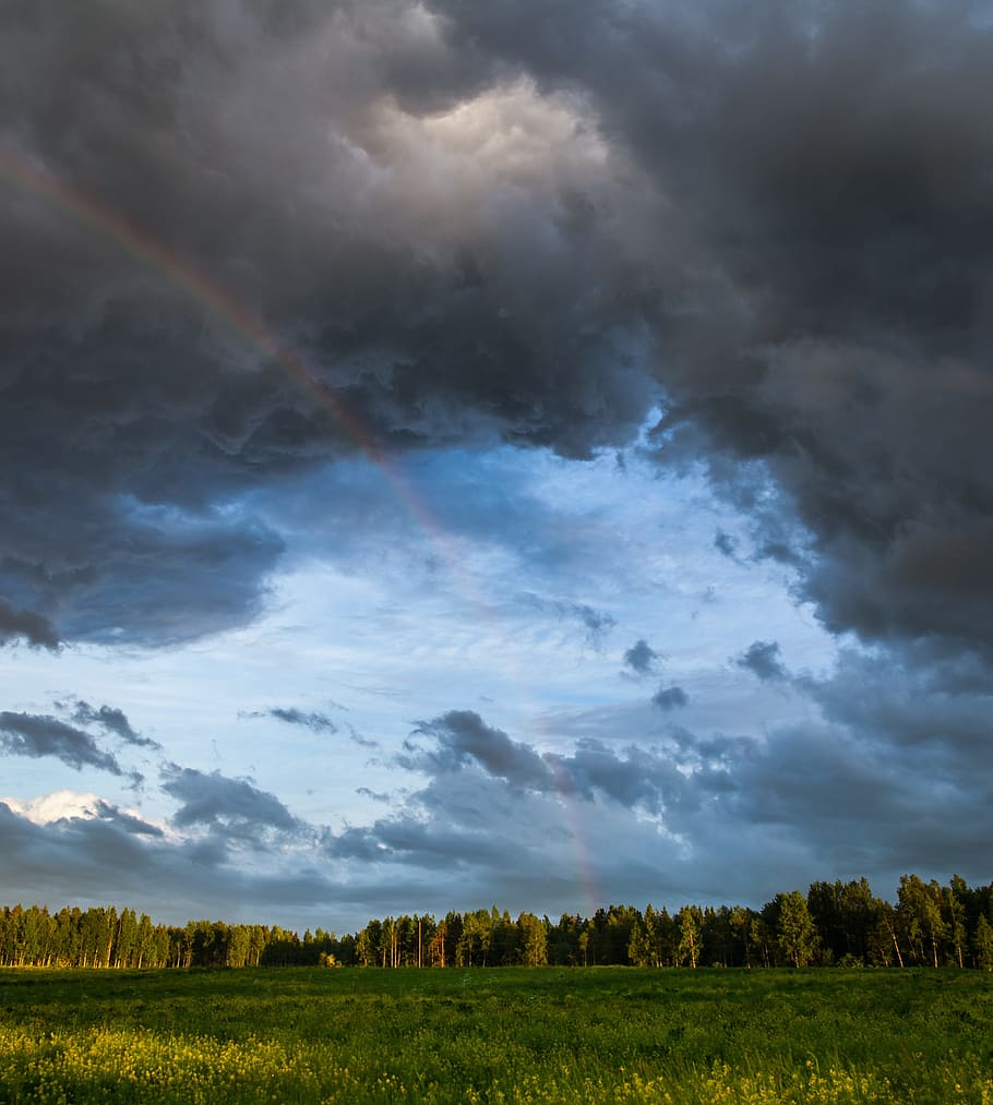grass and trees under cloudy sky, landscape, nature, storm HD wallpaper