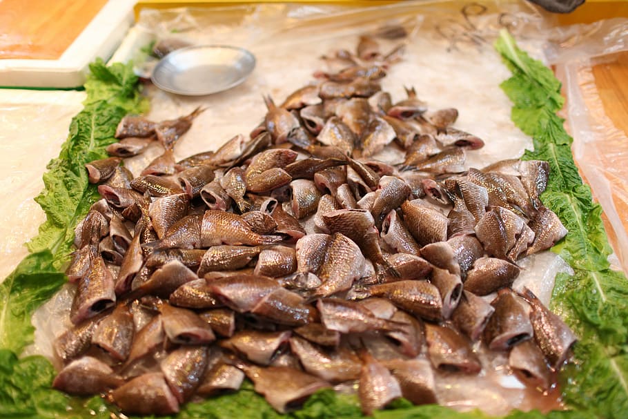 market, their dome, the left panel, fish, food and drink, freshness HD wallpaper