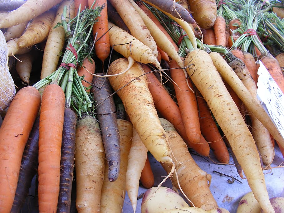 carrots and radish lot, fruits, veggies, roots, eating, vegetables, HD wallpaper