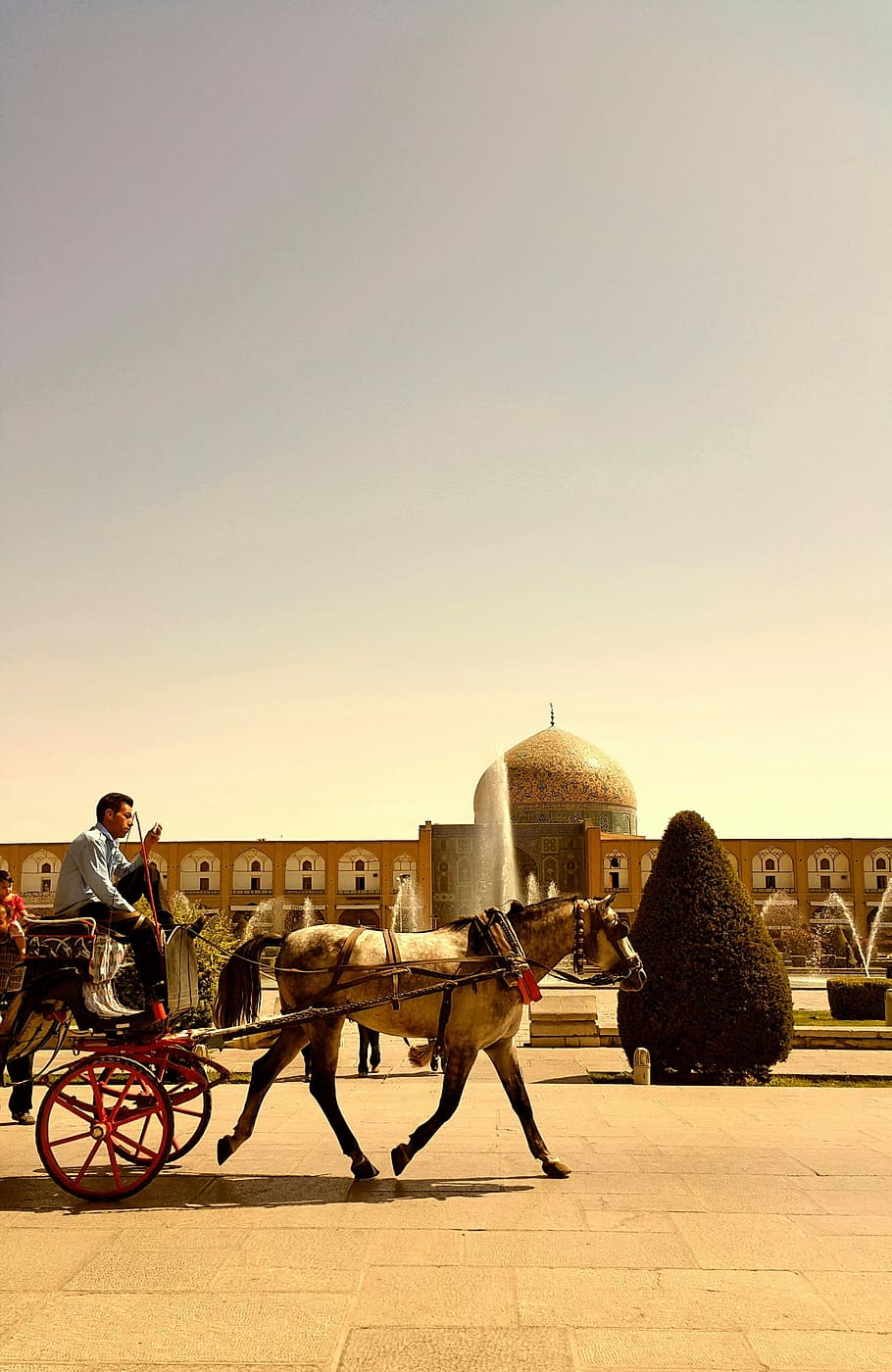 Iran, Isfahan, Carriage, Mosque, Tree, horse, warm, history, HD wallpaper