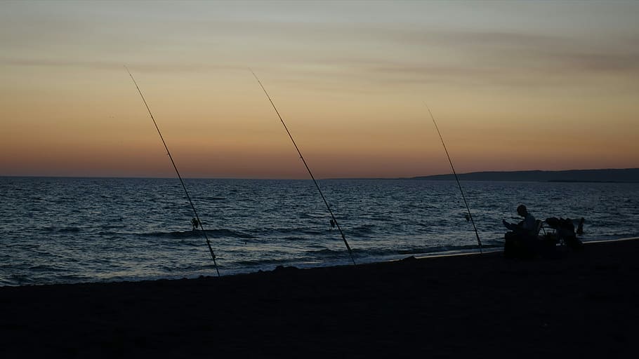 Fish, Sea, Evening, Twilight, Rest, patience, fishing, relaxation HD wallpaper