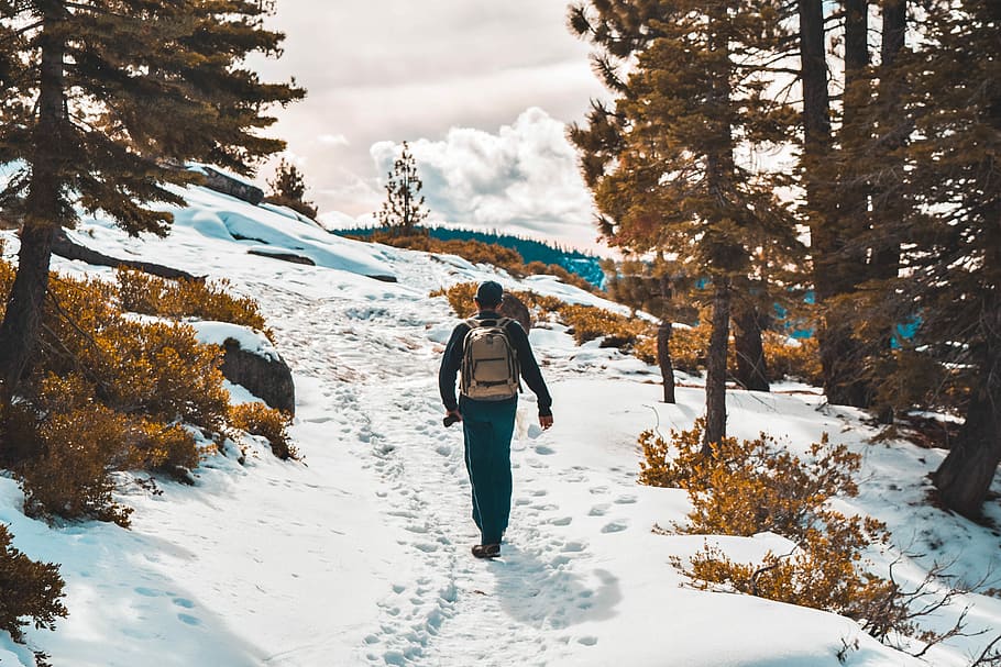 person walking between trees during winter, walking man on snow near brown trees at daytime HD wallpaper