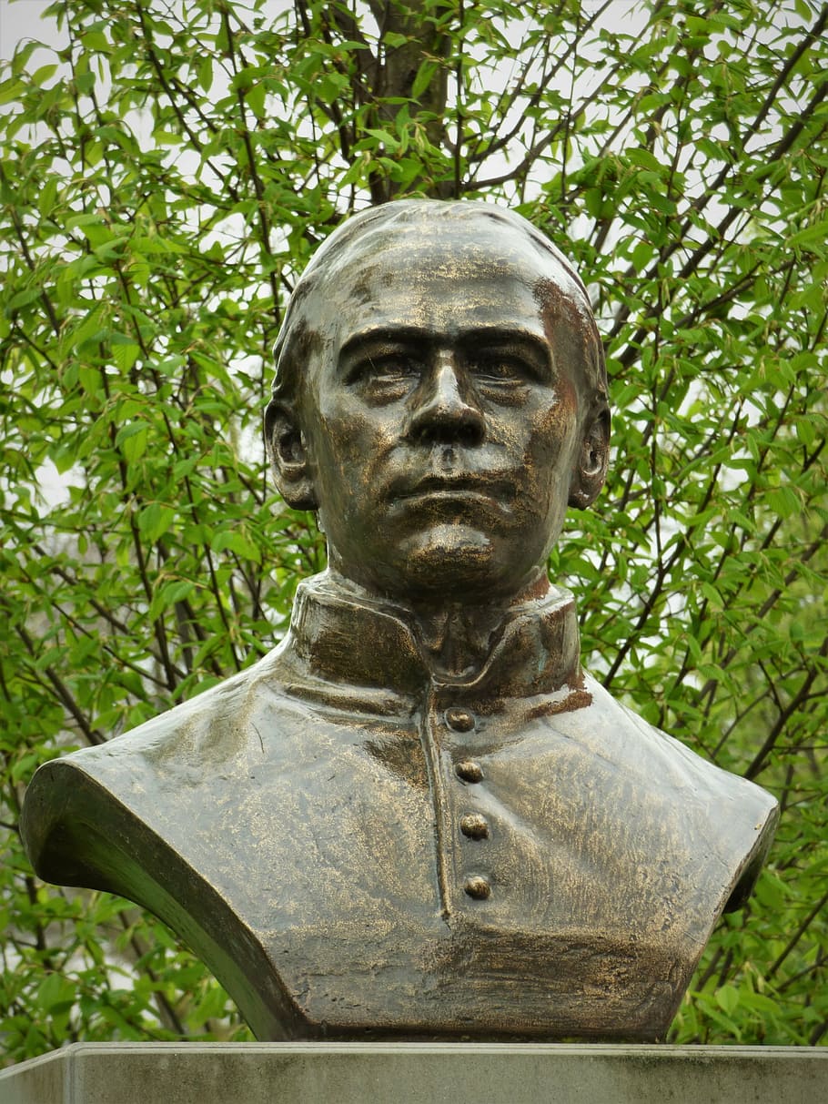 bust, adolph kolping, head, statue, sculpture, art, face, patina HD wallpaper